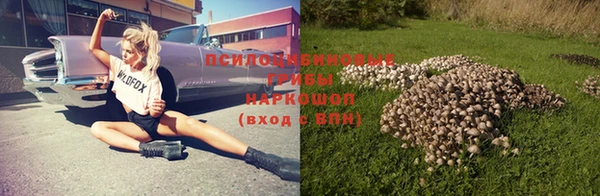 бутират Алзамай